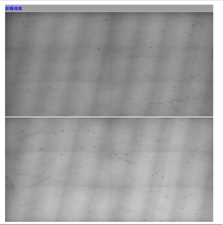 魚眼自動(dòng)分析儀檢測效果